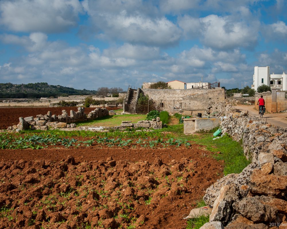 Tour completo del Salento in Bici - Escursione in Bici - Cuore Salentino