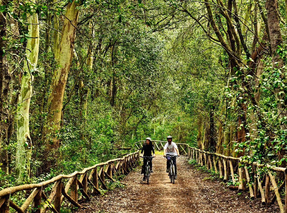 Tour completo del Salento in Bici - Escursione in Bici - Cuore Salentino