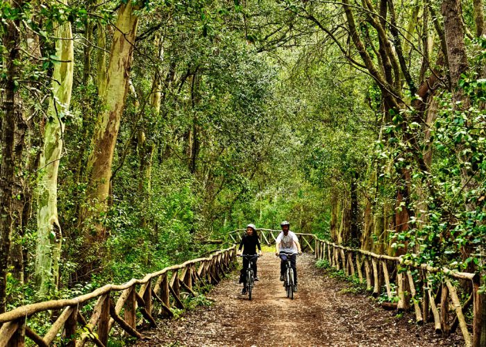 Tour completo del Salento in Bici - Escursione in Bici - Cuore Salentino